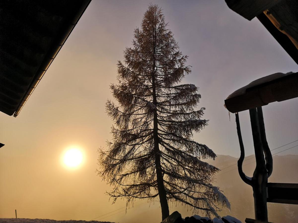 Sinnlehen Alm Saalbach-Hinterglemm Luaran gambar