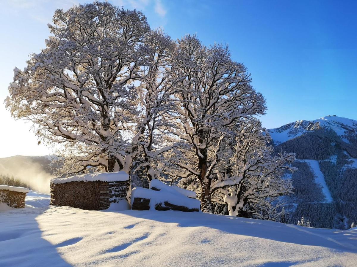 Sinnlehen Alm Saalbach-Hinterglemm Luaran gambar