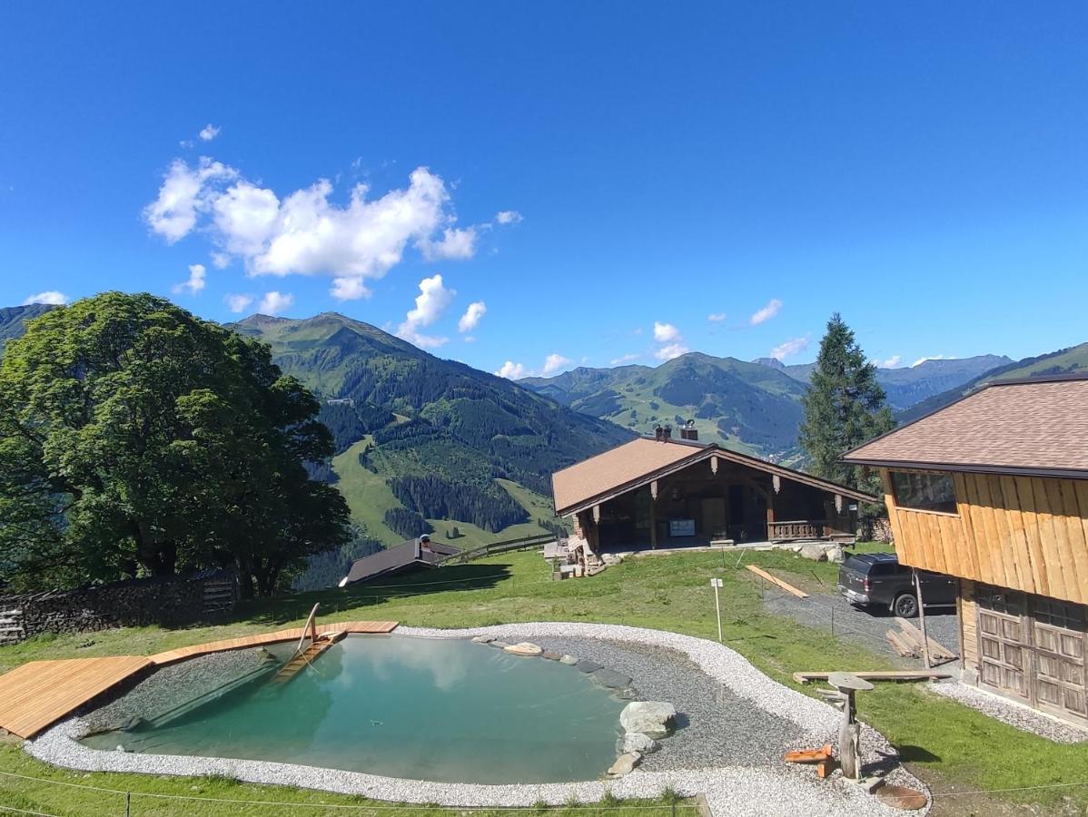 Sinnlehen Alm Saalbach-Hinterglemm Luaran gambar