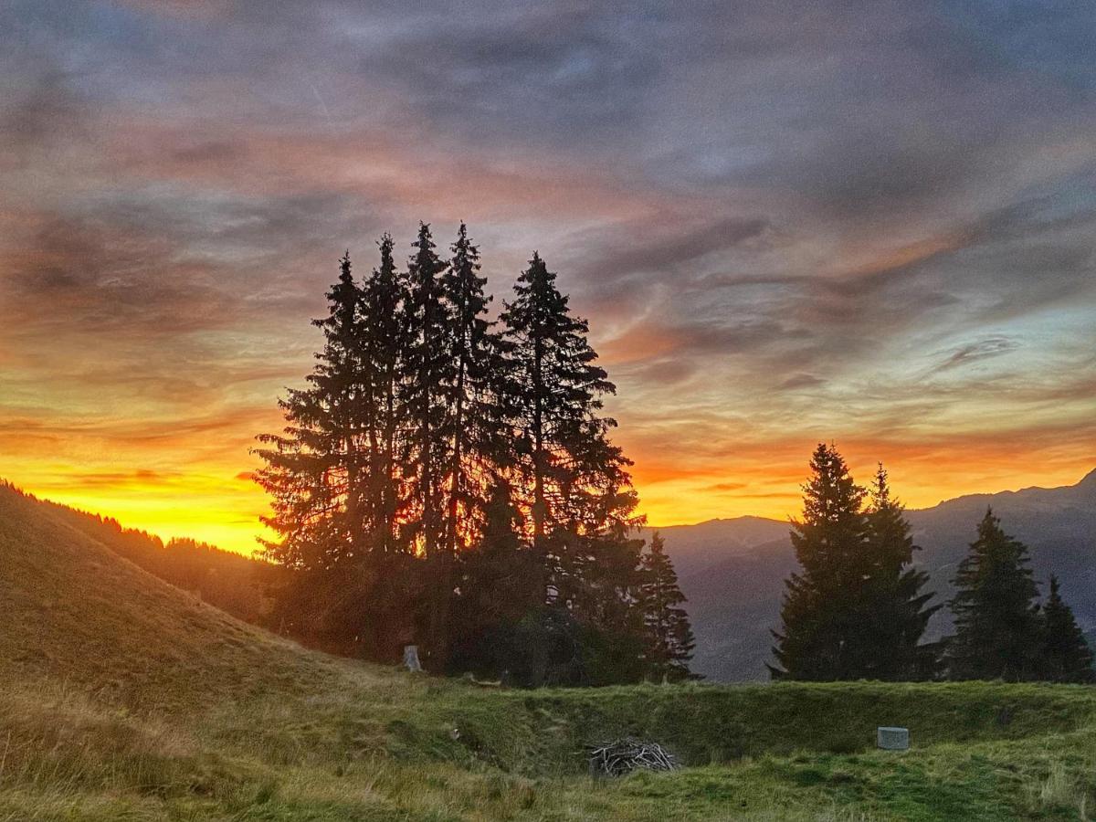 Sinnlehen Alm Saalbach-Hinterglemm Luaran gambar